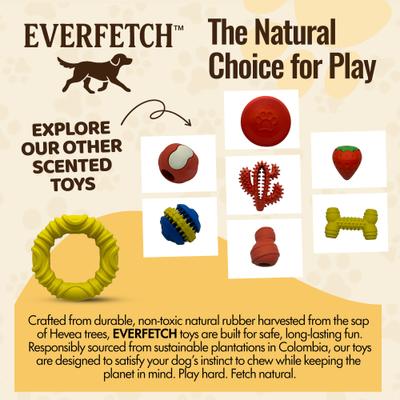 Show full view: EVERFETCH Natural Rubber Dental Ring Peanut Butter Scented Dog Chew Toy slide 5 of 6