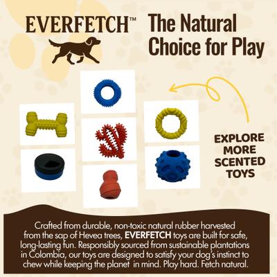 Show full view: EVERFETCH Natural Rubber Strawberry Squeaky Interactive Chicken Scented Dog Chew Toy slide 5 of 6