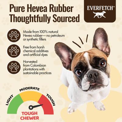 Show full view: EVERFETCH Natural Rubber Paw-Shaped Frisbee Beef Scented Dog Chew Toy slide 4 of 7