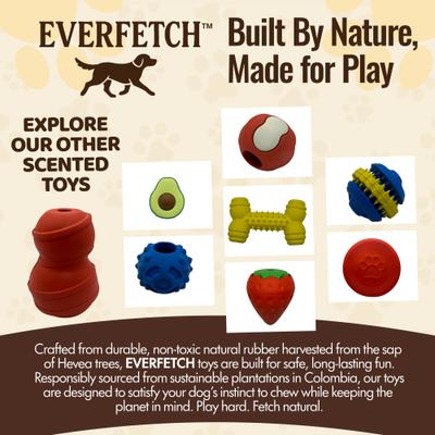 Show full view: EVERFETCH Natural Rubber Classic Treat-Holder Chicken Scented Dog Chew Toy slide 5 of 6