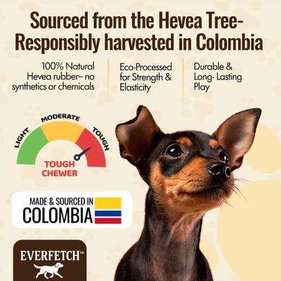 Show full view: EVERFETCH Natural Rubber Treat-Holder Beef Scented Dog Chew Toy slide 5 of 7