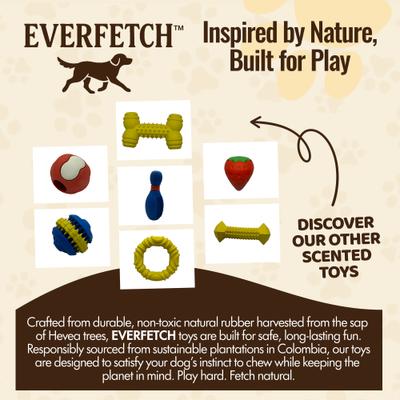 Show full view: EVERFETCH Natural Rubber Dental Cactus BBQ Scented Dog Chew Toy slide 6 of 7