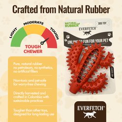 EVERFETCH Natural Rubber Dental Cactus BBQ Scented Dog Chew Toy slide 2 of 6