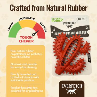 Show full view: EVERFETCH Natural Rubber Dental Cactus BBQ Scented Dog Chew Toy slide 5 of 7