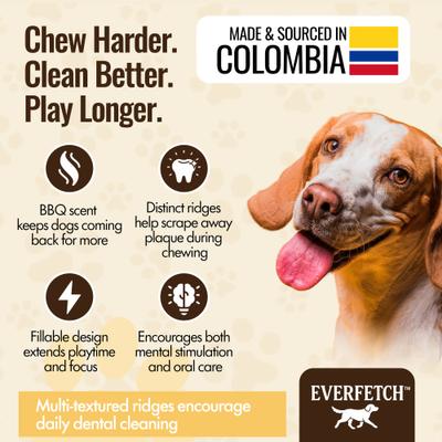 Show full view: EVERFETCH Natural Rubber Dental Cactus BBQ Scented Dog Chew Toy slide 4 of 7