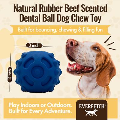 Show full view: EVERFETCH Natural Rubber Beef Scented Dental Ball Treat-Holder Dog Chew Toy slide 2 of 6