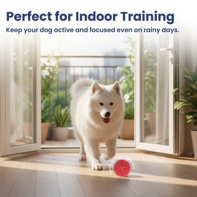 Show full view: PawsPik Smart Bounce Interactive Dog Toy, Red, Small slide 8 of 10