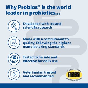 Probios Dispersible Powder Supplement, 240-g jar