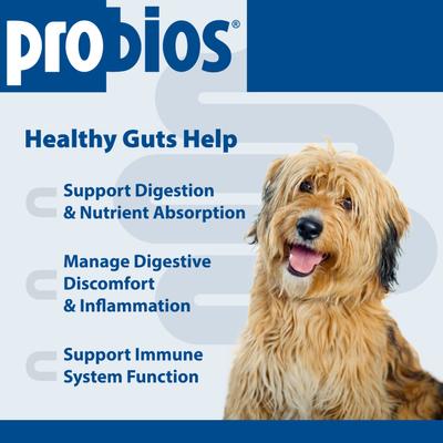Show full view: Probios Daily Digestive Dog Tabs Supplement, 45 count slide 4 of 12