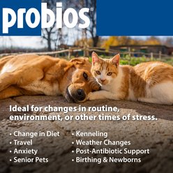 Probios Daily Digestive Dog Tabs Supplement, 45 count slide 2 of 9