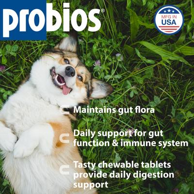 Show full view: Probios Daily Digestive Dog Tabs Supplement, 45 count slide 3 of 12
