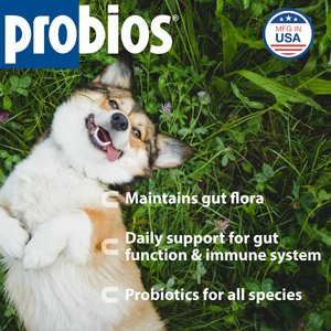 Probios Dispersible Powder Supplement, 240-g jar