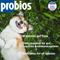 Show in main carousel: Probios Dispersible Powder Supplement, 240-g jar slide 3 of 11