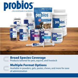Probios Dispersible Powder Supplement, 240-g jar