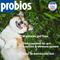 Show in main carousel: Probios Probiocin Oral Gel Dog & Cat Supplement, 15g syringe slide 3 of 12