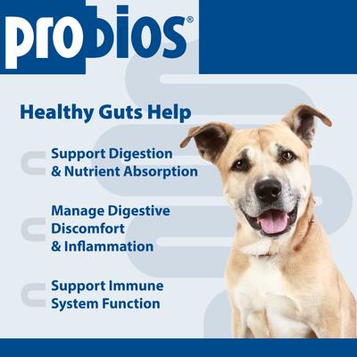 Show full view: Probios Soft Chews with Probiotics Supplement for Medium & Large Dogs, 60 count slide 6 of 16
