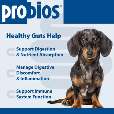 Show full view: Probios Soft Chews with Prebiotics Supplement for Small Dogs, 120 count slide 6 of 16