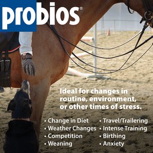 Probios Equine Probiotic Apple Flavor Soft Chew Horse Supplement, 60 count