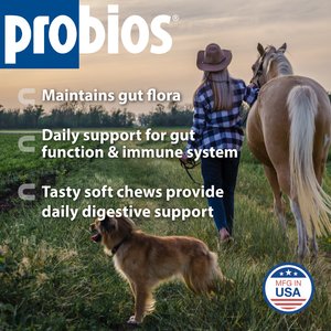 Probios Equine Probiotic Apple Flavor Soft Chew Horse Supplement, 60 count