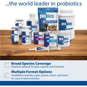 Probios Equine Probiotic Apple Flavor Soft Chew Horse Supplement, 60 count