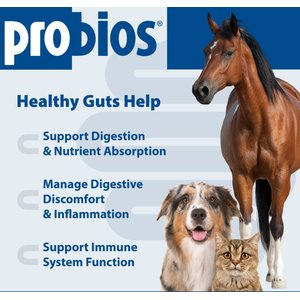 Probios Dispersible Powder Supplement, 240-g jar