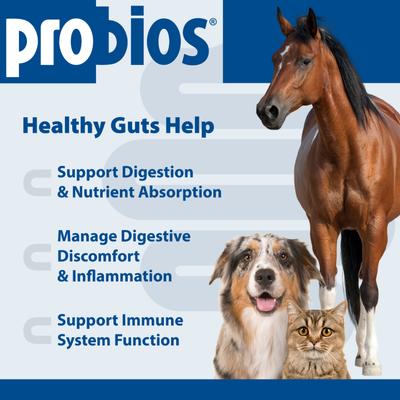 Show full view: Probios Dispersible Powder Supplement, 240-g jar slide 4 of 11