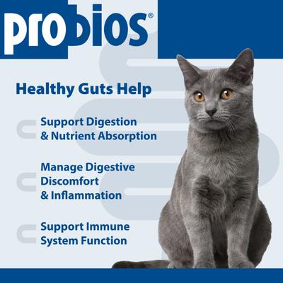 Show full view: Probios Intelliflora Probiotic Cat Supplement, 30 count slide 4 of 11