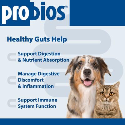 Show full view: Probios Probiocin Oral Gel Dog & Cat Supplement, 15g syringe slide 4 of 12