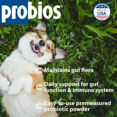 Show full view: Probios Intelliflora Probiotic Dog Supplement, 30 count slide 3 of 10