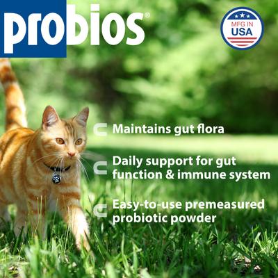 Show full view: Probios Intelliflora Probiotic Cat Supplement, 30 count slide 3 of 11