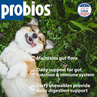 Show full view: Probios Digestion Support Peanut Butter Flavor Dog Treats, 1-lb bag slide 3 of 12