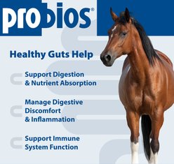 Probios Equine Probiotic Apple Flavor Soft Chew Horse Supplement, 60 count slide 2 of 9