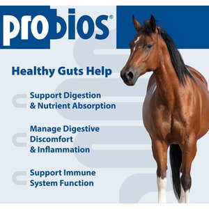 Probios Equine Probiotic Apple Flavor Soft Chew Horse Supplement, 60 count