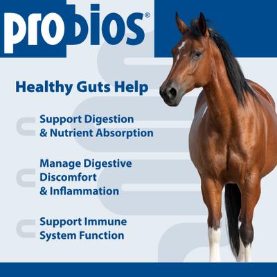 Show full view: Probios Equine Probiotic Apple Flavor Soft Chew Horse Supplement, 60 count slide 3 of 10