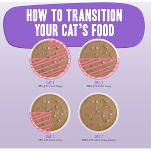 BFF Rainbow A Gogo Variety Pack Wet Cat Food Pouches, 3-oz, case of 12