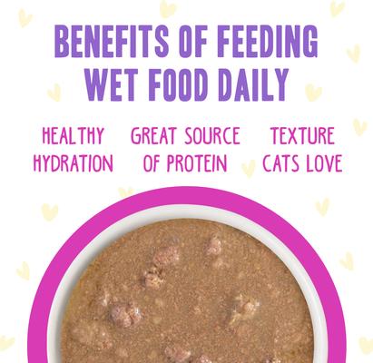 Show full view: BFF OMG Dream Team! Chicken & Duck in Gravy Wet Canned Cat Food, 2.8-oz can, case of 12 slide 6 of 12