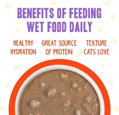 Show full view: BFF OMG Stir It Up! Chicken & Salmon in Gravy Wet Canned Cat Food, 5.5-oz can, case of 8 slide 6 of 12