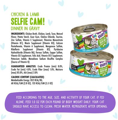 Show full view: BFF OMG Selfie Cam! Chicken & Lamb Dinner in Gravy Grain-Free Canned Cat Food, 2.8-oz, case of 12 slide 5 of 12