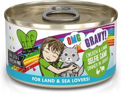 BFF OMG Selfie Cam! Chicken & Lamb Dinner in Gravy Grain-Free Canned Cat Food, 2.8-oz, case of 12