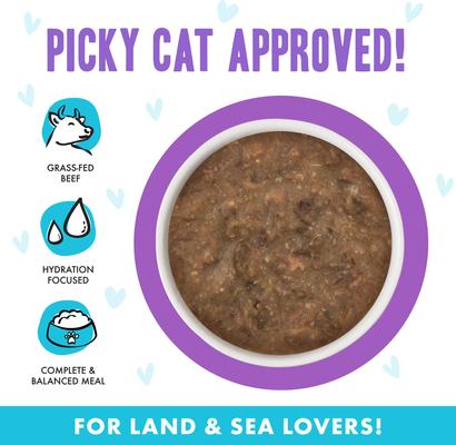 Show full view: BFF OMG Best Day Eva! Beef & Salmon Dinner in Gravy Grain-Free Canned Cat Food, 2.8-oz, case of 12 slide 4 of 12