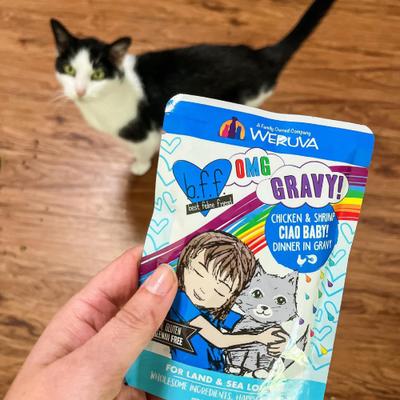 Show full view: BFF OMG Shazaam! Lamb & Tuna Dinner in Gravy Grain-Free Cat Food Pouches, 2.8-oz, pack of 12 slide 8 of 12
