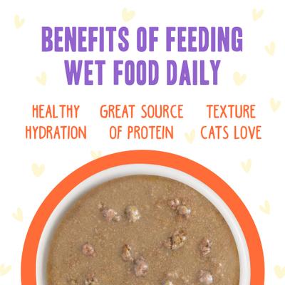 Show full view: BFF OMG Shine Bright! Chicken & Salmon in Gravy Wet Cat Food Pouches, 2.8-oz pouch, 12 count slide 7 of 13