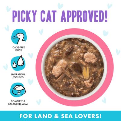 Show full view: BFF OMG Date Nite! Duck & Salmon Dinner in Gravy Grain-Free Cat Food Pouches, 2.8-oz, pack of 12 slide 5 of 13