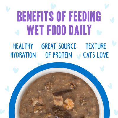 Show full view: BFF OMG Ciao Baby! Chicken & Shrimp Dinner in Gravy Grain-Free Cat Food Pouches, 2.8-oz, pack of 12 slide 7 of 13