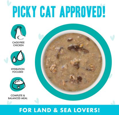 Show full view: BFF OMG QT Patootie! Chicken & Turkey Dinner in Gravy Grain-Free Wet Cat Food, 2.8-oz, case of 12 slide 4 of 13