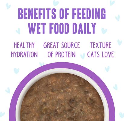 Show full view: BFF OMG Best Day Eva! Beef & Salmon Dinner in Gravy Grain-Free Canned Cat Food, 2.8-oz, case of 12 slide 6 of 12