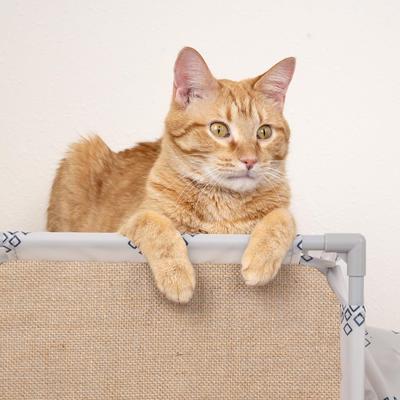 Show full view: Kitty City Hideaway Cat Tunnel slide 4 of 8