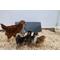 Show in main carousel: Cozy Products Chicken Coop Heating Panel, Small, each slide 3 of 10