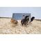 Show in main carousel: Cozy Products Chicken Coop Heating Panel, Small, each slide 5 of 10