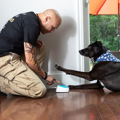 Show full view: iPupPee Smart Button WiFi Potty Training & Service Alerts, 2.5 x 5 x 4.5-in slide 8 of 13